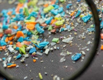 Malasia es el pa&iacute;s que m&aacute;s micropl&aacute;sticos consume por la contaminaci&oacute;n de los alimentos