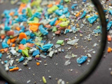 Malasia es el pa&iacute;s que m&aacute;s micropl&aacute;sticos consume por la contaminaci&oacute;n de los alimentos