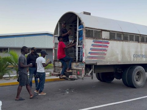 M&aacute;s de 114,000 haitianos deportados en este 2025