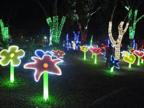 Mas de 400 mil personas visitan Parque de Luces en Santo Domingo Este