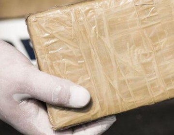 Detienen en Florida a 15 inmigrantes y decomisan 1.8 kilos de fentanilo