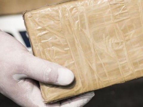 Detienen en Florida a 15 inmigrantes y decomisan 1.8 kilos de fentanilo