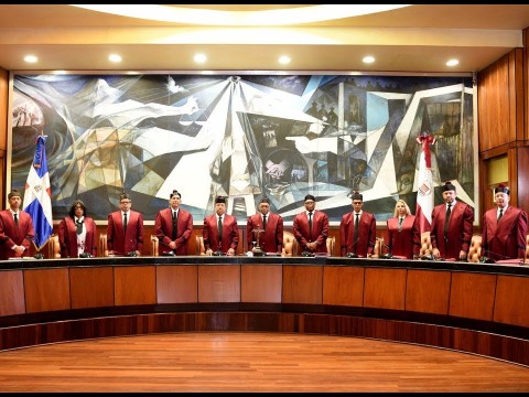 Juez del TC: M&eacute;todo D&acute;Hondt no garantiza representaci&oacute;n de las minor&iacute;as