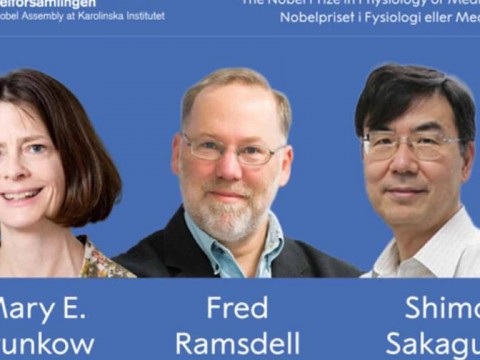El Nobel de Medicina premia la investigaci&oacute;n sobre el control del sistema inmunitario