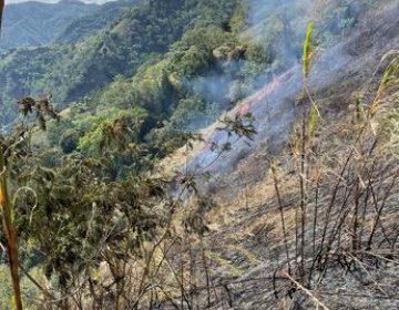 Medio Ambiente dice est&aacute; controlado incendio que destruy&oacute; al menos 90 tareas de bosques en Ocoa