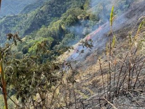 Medio Ambiente dice est&aacute; controlado incendio que destruy&oacute; al menos 90 tareas de bosques en Ocoa