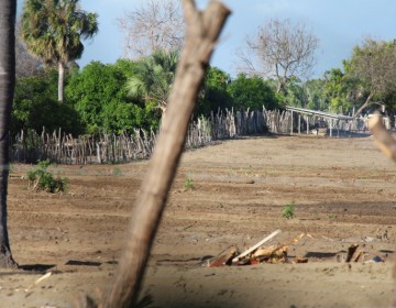 Medio Ambiente promete reforzar defensa en Dunas