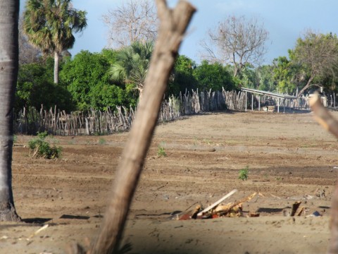 Medio Ambiente promete reforzar defensa en Dunas