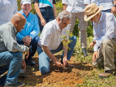 Presidente Abinader afirma Plan de Reforestaci&oacute;n es de seguridad nacional