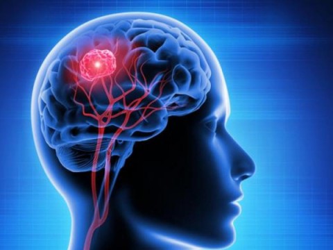 Una nueva herramienta basada en IA permitir&aacute; mejorar el diagn&oacute;stico de tumores cerebrales