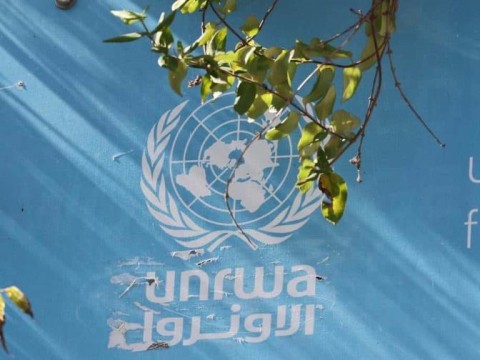 Organizaci&oacute;n de la ONU para las Migraciones: "No podemos sustituir a la UNRWA en Gaza"