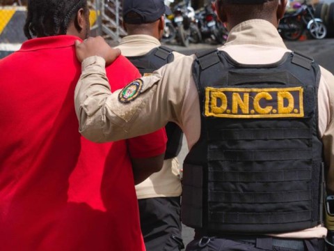 Al menos 20,000 personas han sido detenidas durante operativos de la DNCD en lo que va de 2024