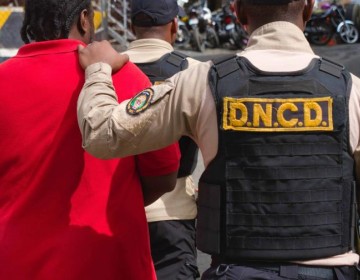 Al menos 20,000 personas han sido detenidas durante operativos de la DNCD en lo que va de 2024