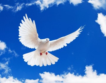 &iquest;Por qu&eacute; se celebra el 21 de septiembre el d&iacute;a internacional de la paz?