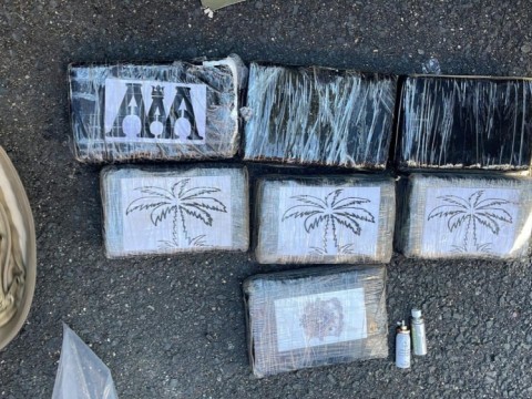 Arrestan a tres hombres y una mujer con siete kilos de presunta coca&iacute;na en SDE