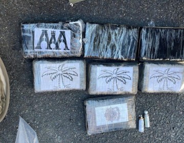 Arrestan a tres hombres y una mujer con siete kilos de presunta coca&iacute;na en SDE