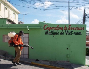 Pediatras actualizan plan de contingencia contra el dengue tras proyecci&oacute;n de aumento en verano 2024