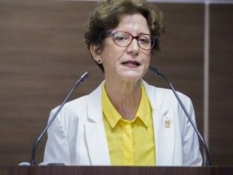 "En 16 d&iacute;as logramos organizar 158 elecciones en los municipios" Carmen Imbert Titular de la JCE