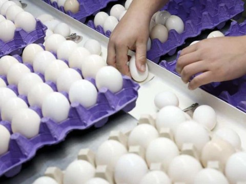 El precio de los huevos sube a m&aacute;ximos hist&oacute;ricos en Estados Unidos