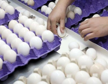 El precio de los huevos sube a m&aacute;ximos hist&oacute;ricos en Estados Unidos
