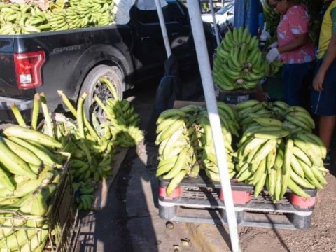 Presidente Abinader crea Comisi&oacute;n Dominicana del Pl&aacute;tano (CODOPLATANO)