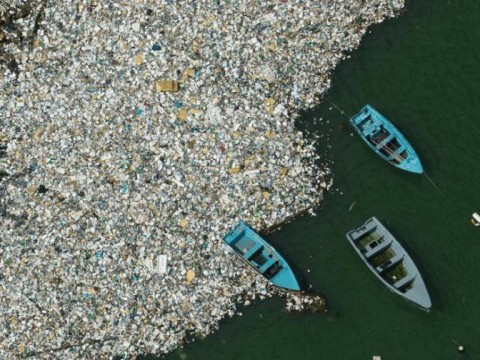 Un proyecto de ley busca eliminar el foam de un solo uso en un periodo de cinco a&ntilde;os