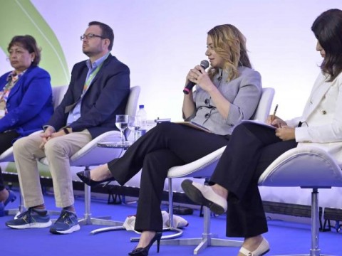 Gloria Reyes presenta acciones de Sup&eacute;rate durante un panel en Brasil