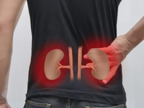 Unos 215 afiliados al Seguro Familiar de Salud recibieron un trasplante renal