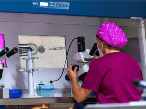 La OMS insiste en que no se debe subestimar el da&ntilde;o que causa &oacute;micron