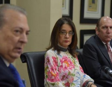 Ruth Herrera: &ldquo;En la Ciudad Colonial, las librer&iacute;as ocupar&aacute;n el 70% de la FILSD&rdquo;