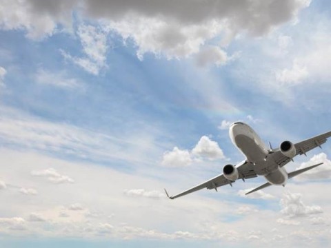 Un piloto fuera de servicio trata de apagar motores de avi&oacute;n en pleno vuelo en EE.UU.