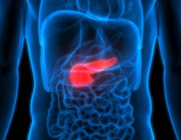 Estudio describe c&oacute;mo se forma tumor que afecta a c&eacute;lulas del p&aacute;ncreas