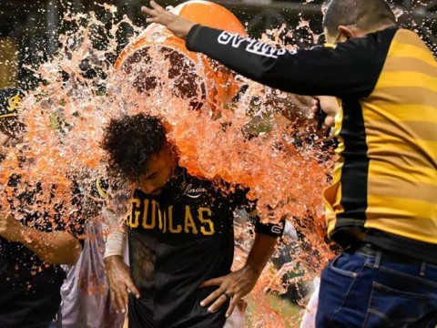 Tabla de posiciones Lidom y resultados del round robin: Toros y &Aacute;guilas a dos de leones