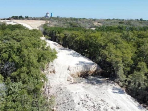 Ministerio de Defensa dice solo ha tocado el 0.04 % de los manglares de Laguna Saladilla