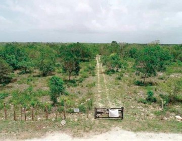 Tribunal Constitucional cierra las puertas al Aeropuerto Internacional de B&aacute;varo