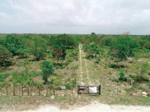 Tribunal Constitucional cierra las puertas al Aeropuerto Internacional de B&aacute;varo
