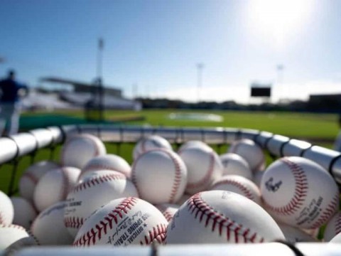 Venezuela igual&oacute; a Dominicana en fallos por dopaje en Liga de Verano
