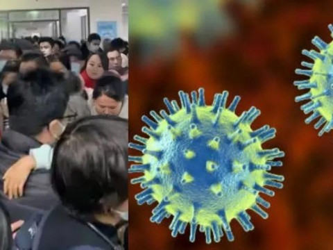 Vir&oacute;logo no vislumbra amenaza inmediata de crisis sanitaria por nuevo virus