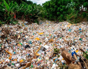 Legisladores eliminaron p&aacute;rrafos de la ley de residuos s&oacute;lidos que prohib&iacute;an fundas pl&aacute;sticas y envases de foam