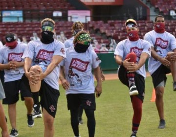 Tigres del Licey y Gigantes del Cibao vuelven el lunes a la pelota invernal