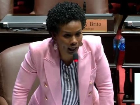Diputada Fior Daliza Peguero renuncia del PRD y se declara independiente