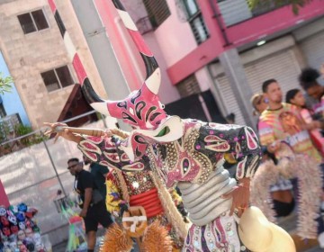 Suspenden pr&oacute;xima salida del carnaval en Santiago por muerte de ni&ntilde;o