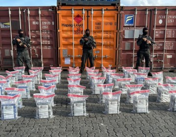 DNCD frustra env&iacute;o de droga a Francia desde el puerto de Caucedo