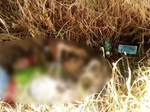 Al menos cuatro hombres ejecutados en municipio Rancho Arriba