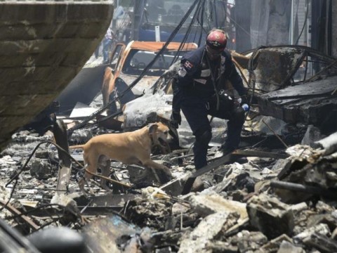 Tres perros buscan bajo los escombros m&aacute;s v&iacute;ctimas de la explosi&oacute;n en San Crist&oacute;bal