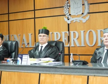 TSE rechaza solicitud de Rosa Amalia Pilarte