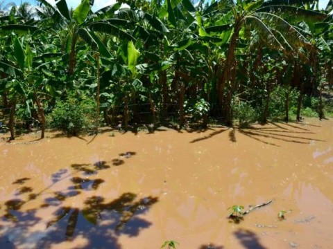 Productores agropecuarios de Ca&ntilde;ongo ser&iacute;an los m&aacute;s afectados con construcci&oacute;n de canal