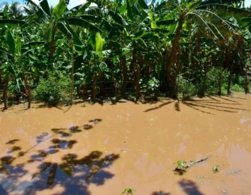 Productores agropecuarios de Ca&ntilde;ongo ser&iacute;an los m&aacute;s afectados con construcci&oacute;n de canal