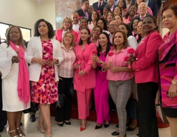 Comisi&oacute;n de diputadas exige m&aacute;s presupuesto en salud para combatir c&aacute;ncer de mama